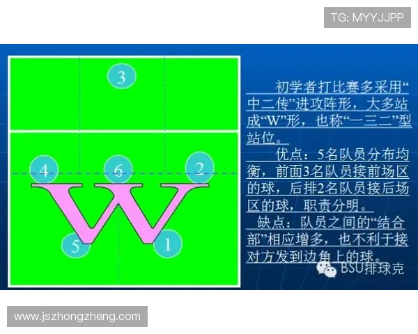 成都排球队排球战术解析及其盯防体系的创新与应用探讨
